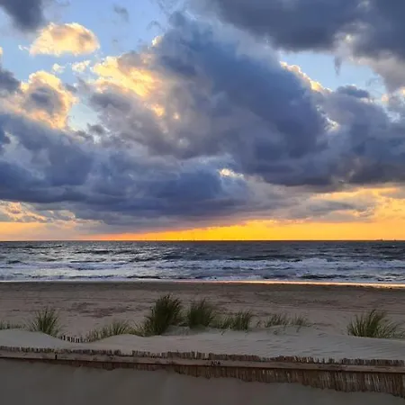 Near The Zandvoort