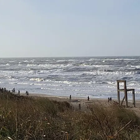 Near The Maison d'hôtes Zandvoort