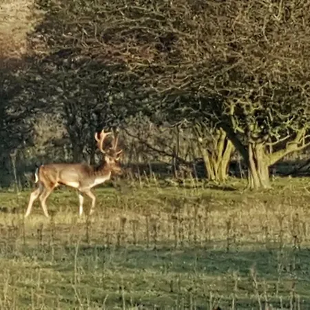 Near The 3* Zandvoort
