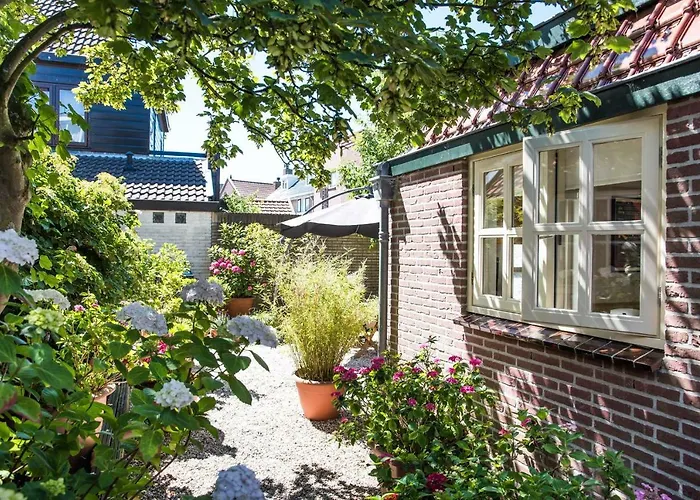 Near The 3* Zandvoort