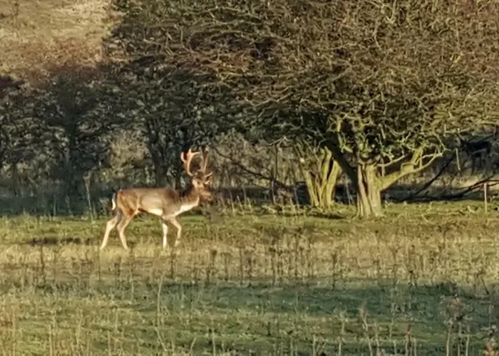 Near The 3* Zandvoort